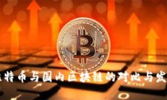 国外比特币与国内区块链