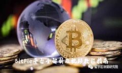 BitPie平台全解析及视频教程指南