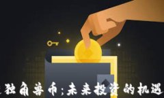 区块链独角兽币：未来投资的机遇与挑战