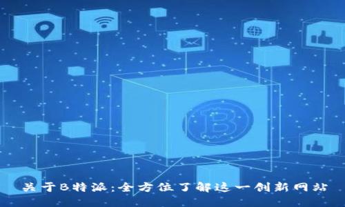关于B特派：全方位了解这一创新网站
