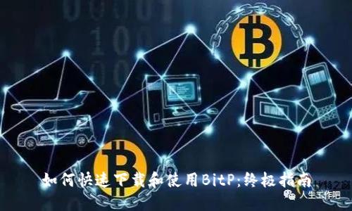 如何快速下载和使用BitP：终极指南