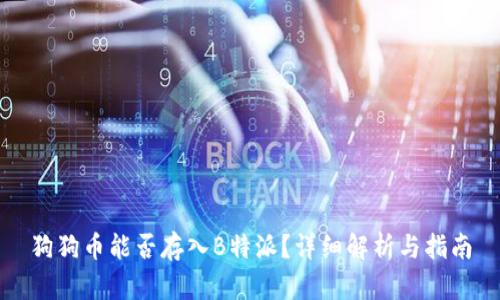 狗狗币能否存入B特派？详细解析与指南