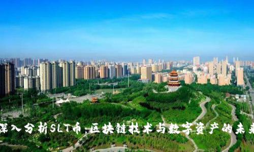深入分析SLT币：区块链技术与数字资产的未来
