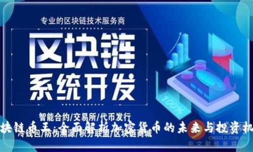 区块链币王：全面解析加密货币的未来与投资机会