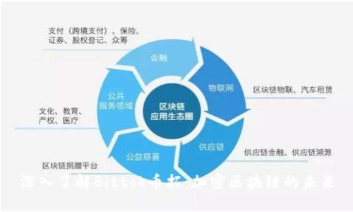 深入了解Bittok币拓：加密区块链的未来