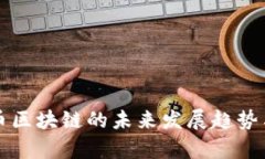 福州虚拟币区块链的未来