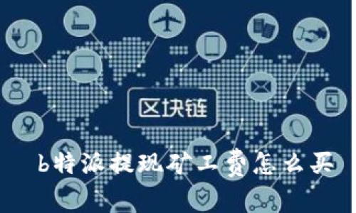  b特派提现矿工费怎么买