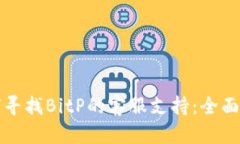 如何寻找BitP的客服支持：