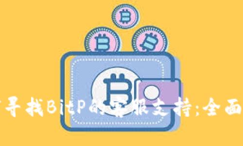 如何寻找BitP的客服支持：全面指南