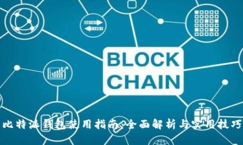 比特派钱包使用指南：全面解析与实用技巧