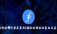 比特派哪个才是真的？揭