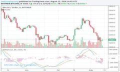 BitP钱包用户评价：真实体