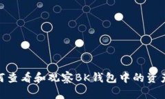 : 如何查看和观察BK钱包中