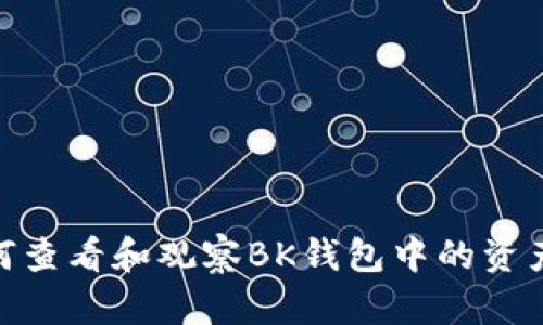 : 如何查看和观察BK钱包中的资产情况