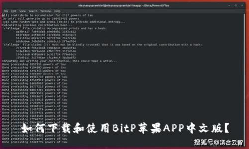 如何下载和使用BitP苹果APP中文版？