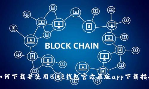 如何下载并使用BitP钱包官方正版app下载指南