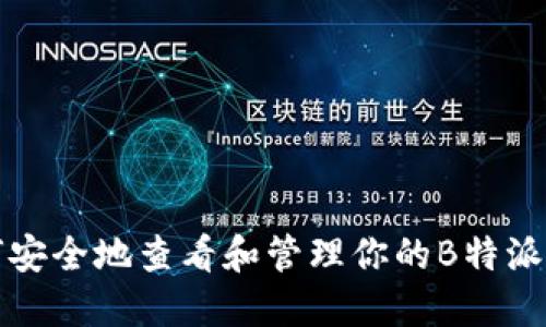 如何安全地查看和管理你的B特派私钥