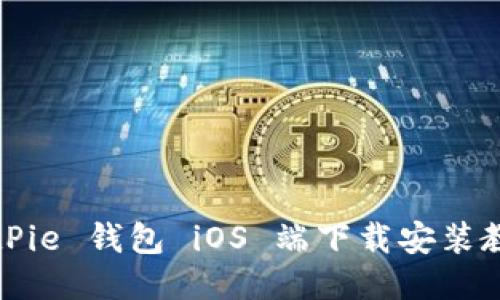 BitPie 钱包 iOS 端下载安装教程