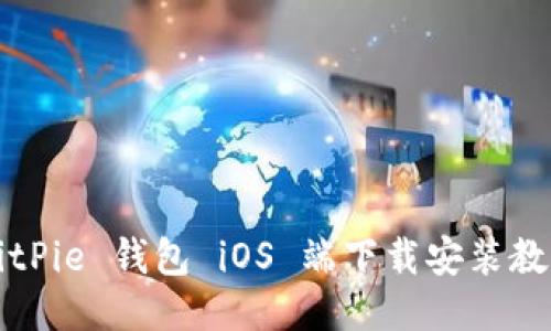 BitPie 钱包 iOS 端下载安装教程