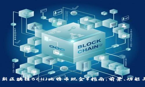 2023年最新区块链BCH（比特币现金）指南：前景、功能与投资价值