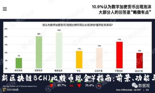 2023年最新区块链BCH（比特币现金）指南：前景、功能与投资价值