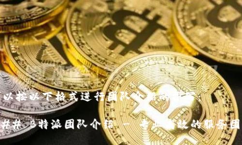可以按以下格式进行团队介绍的撰写：

### B特派团队介绍 - 专业高效的服务团队