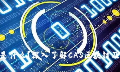 CAS币是什么？深入了解CAS区块链及其应用