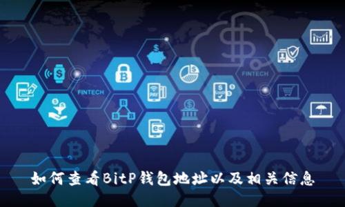 如何查看BitP钱包地址以及相关信息