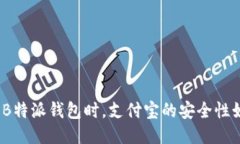 使用B特派钱包时，支付宝