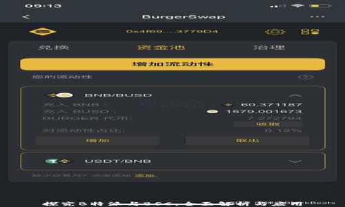 
探究B特派与BSC：全面解析与应用
