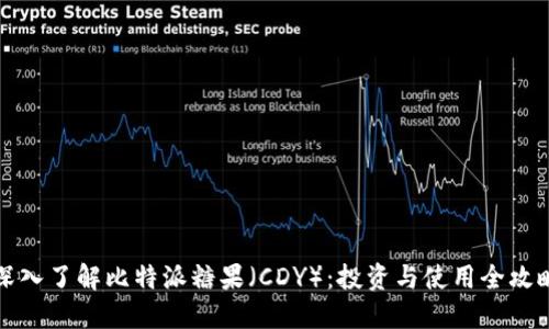 深入了解比特派糖果（CDY）：投资与使用全攻略