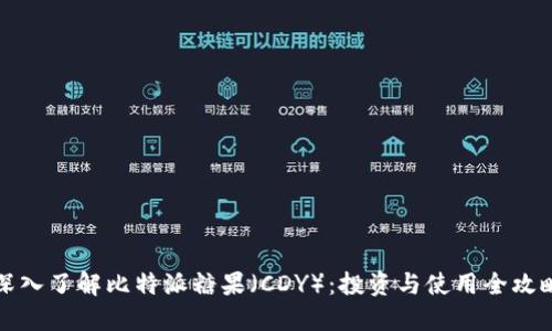 深入了解比特派糖果（CDY）：投资与使用全攻略