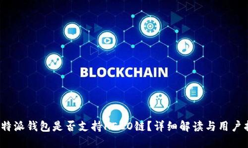 : b特派钱包是否支持HECO链？详细解读与用户指南