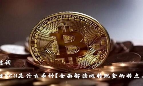 和关键词

区块链BCH是什么币种？全面解读比特现金的特点与应用
