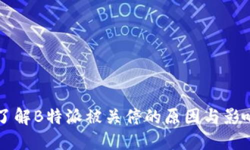 了解B特派被关停的原因与影响