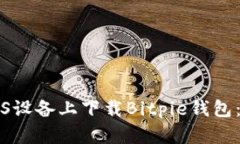 如何在iOS设备上下载Bitp