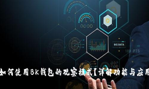 如何使用BK钱包的观察模式？详解功能与应用