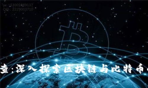  蜜蜂查：深入探索区块链与比特币的世界