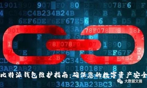 比特派钱包维护指南：确保您的数字资产安全