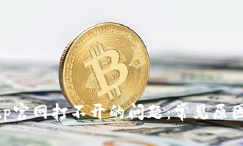 如何解决bitp官网打不开的问题：常见原因及解决方案