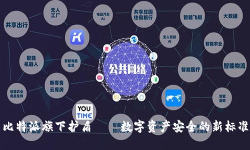 比特派旗下护盾——数字资产安全的新标准