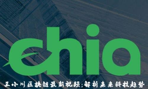 
王小川区块链最新视频：解析未来科技趋势
