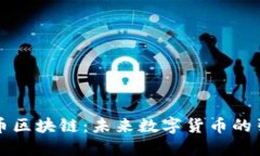 龙头币区块链：未来数字