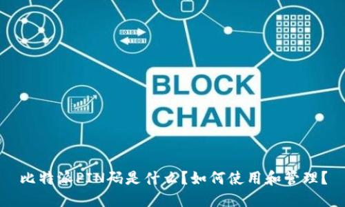 比特派PIN码是什么？如何使用和管理？