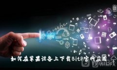 如何在苹果设备上下载B