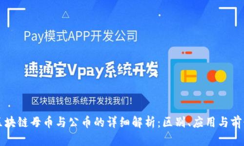 区块链母币与公币的详细解析：区别、应用与前景