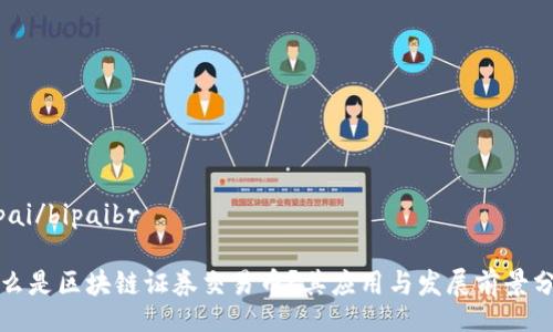 bipai/bipaibr

什么是区块链证券交易币？其应用与发展前景分析