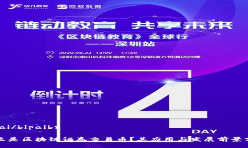 bipai/bipaibr

什么是区块链证券交易币？其应用与发展前景分析