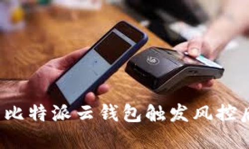 如何处理比特派云钱包触发风控后的情况？