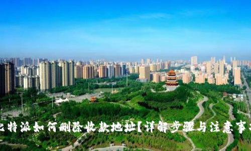 比特派如何删除收款地址？详解步骤与注意事项